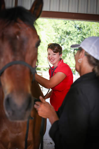 best equine vet near me