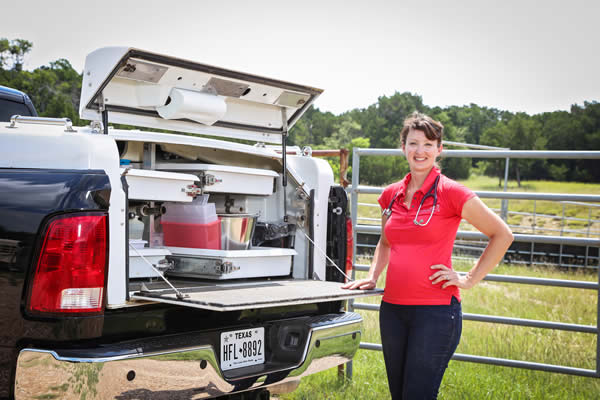 Texas Diamond J Veterinary Services is a mobile equine practice owned and operated by Dr. Jenn Boeche