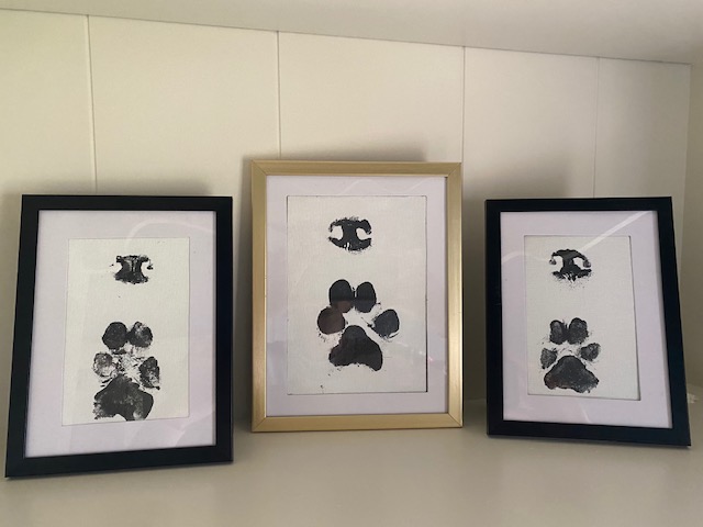 paw prints in frames